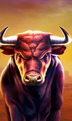 Black Bull